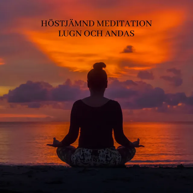 Lugna ner Meditation