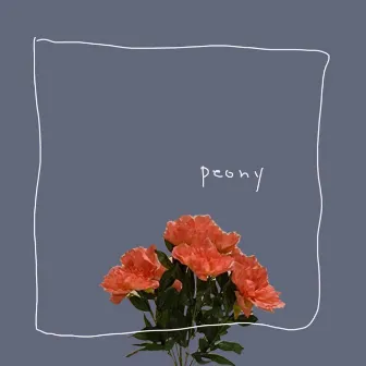 peony by POLY