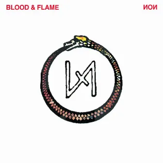 Blood and Flame by Non