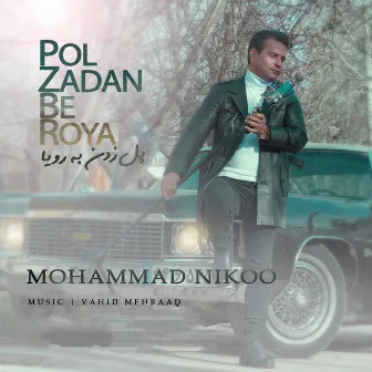 Pol Zadan Be Roya by Vahid Mehraad