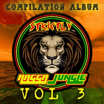 Strictly Ragga Jungle Compilation Album Vol 3 by Dj Stp