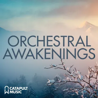 Orchestral Awakenings by Harold Schenk