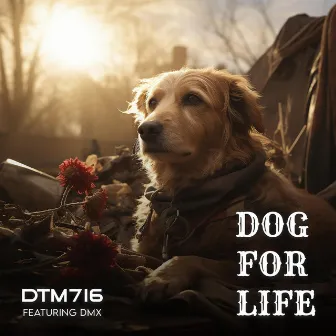 Dog For Life by Dtm716