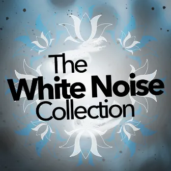 The White Noise Collection by White Noise 2015