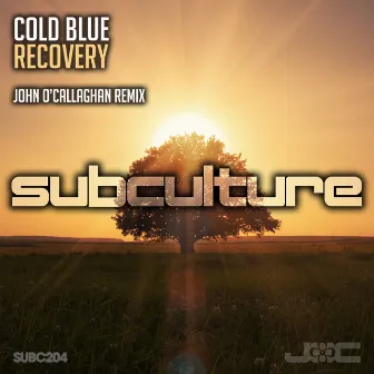 Recovery (John O’Callaghan) by Cold Blue