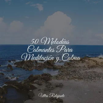 50 Melodías Calmantes Para Meditación y Calma by Maestros de música de la meditación