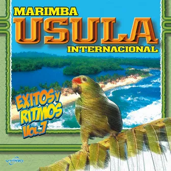 Exitos y Ritmos Vol. 7 by Marimba Usula Internacional