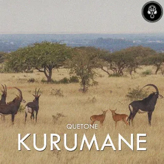 Kurumane by Quetone