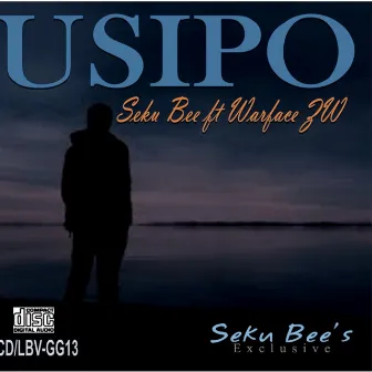 USIPO by Seku Bee