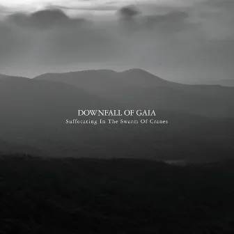 Suffocating in the Swarm of Cranes by Downfall Of Gaia