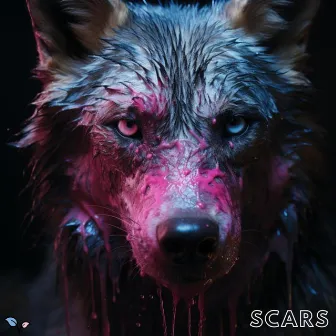 SCARS by C-Blanch