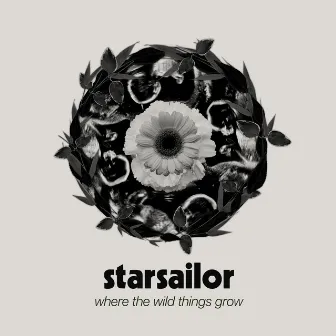 Where The Wild Things Grow by Starsailor