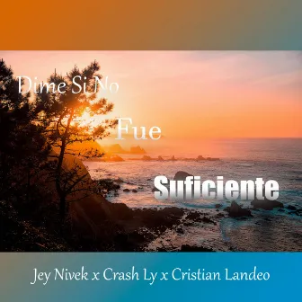 Dime Si No Fue Suficiente by Cristian Landeo