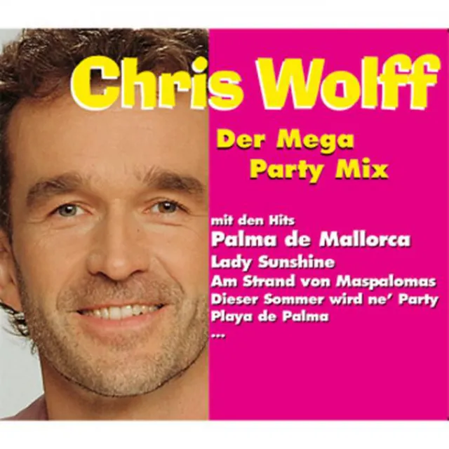 Der Mega Party Mix