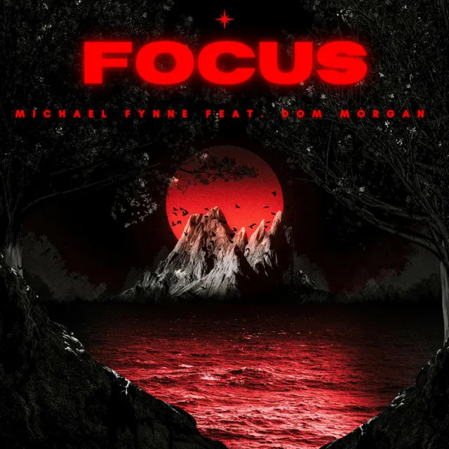 Focus