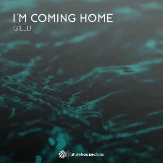 I'm Coming Home by GILLU