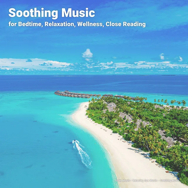 Soothing Music for Bedtime, Relaxation, Wellness, Close Reading