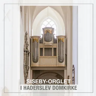 Siseby-orglet i Haderslev Domkirke by Thomas Berg-Juul