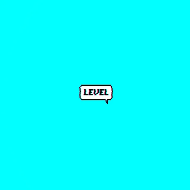 LEVEL