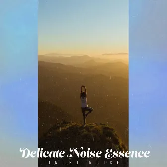 Delicate Noise Essence by Inlet Noise