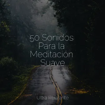 50 Sonidos Para la Meditación Suave by Musica Relajante Para Dormir