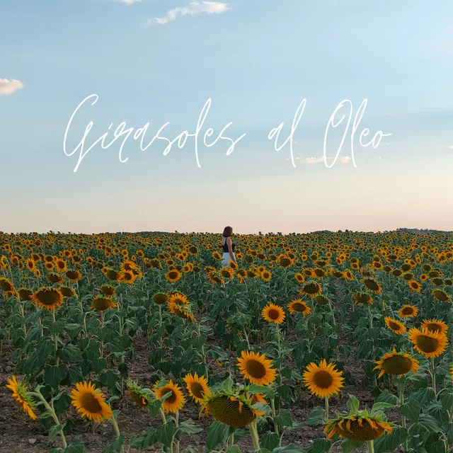 Girasoles al Oleo