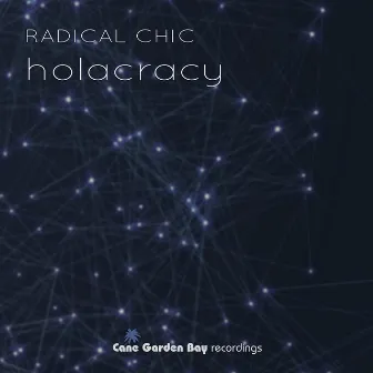 Holacracy by Radical Chic