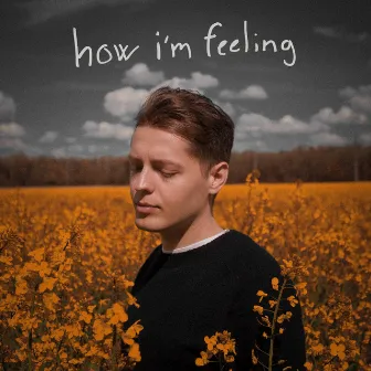 how i'm feeling by Ben Dolic