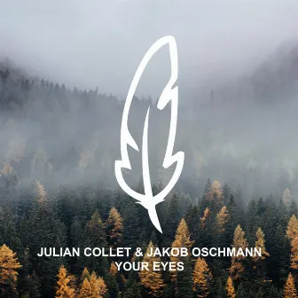 Your Eyes by Julian Collet