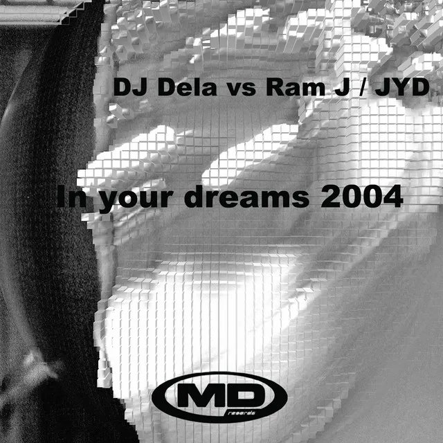 In Your Dreams 2004