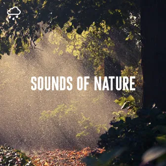 Sounds of Nature by Rain Sounds Recordings