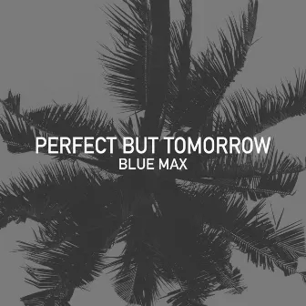 Perfect but Tomorrow by Blue Max