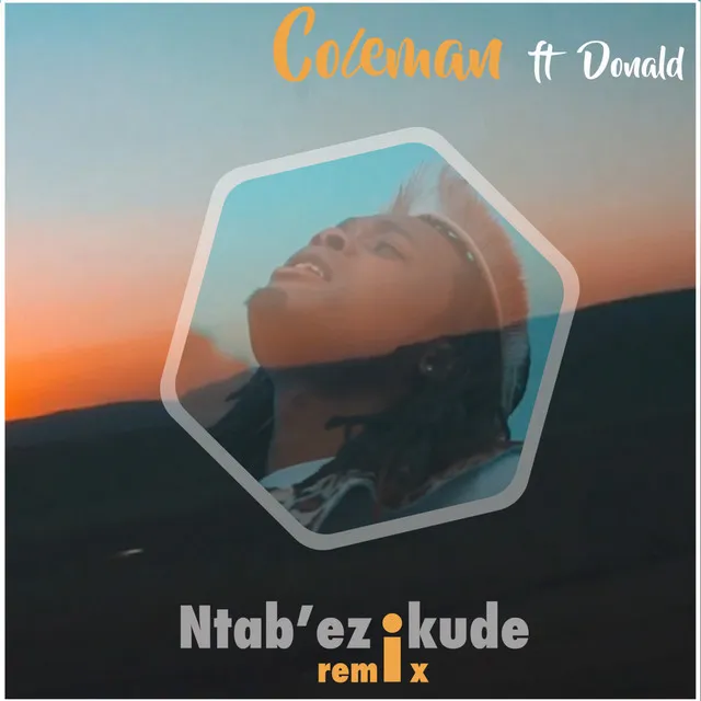 Ntab'ezikude (feat. Donald) - Remix