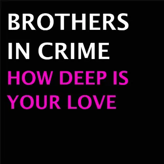 How Deep Is Your Love by Brothers In Crime