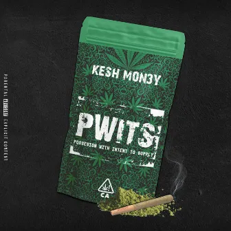 P.W.I.T.S by Kesh Mon3y