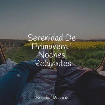 Serenidad De Primavera | Noches Relajantes by Meditaciónessa