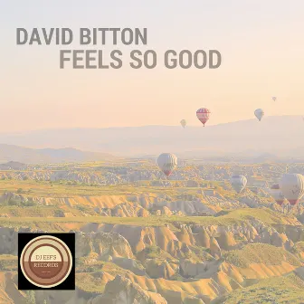 Feels so Good by David Bitton