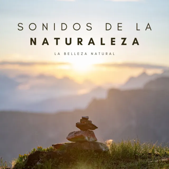 Sonidos De La Naturaleza: La Belleza Natural