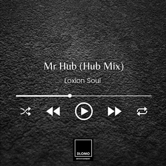 Mr Hub (Hub Mix) by Loxion Soul