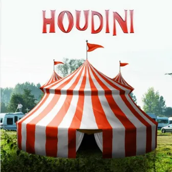 Houdini by Suzy Phosphore