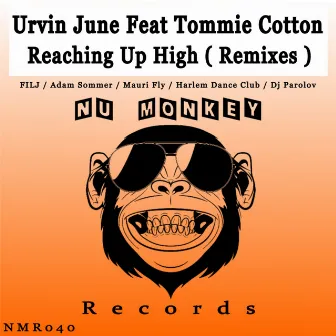 Reaching Up High (Remixes) by Urvin June