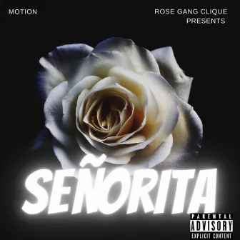 Señorita by Motion