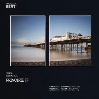 Principie by Randal Boyz