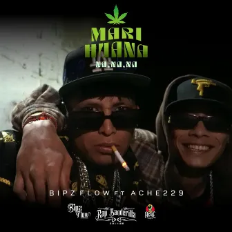 Mariguana na na na by Bipz Flow