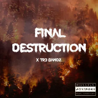 Final Destruction by Tr3 Bandz