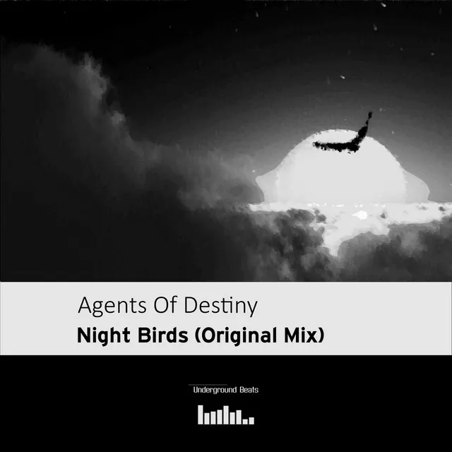 Night Birds - Original mix