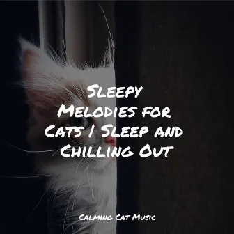 Sleepy Melodies for Cats | Sleep and Chilling Out by Relaxmycat