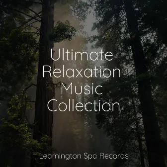 Ultimate Relaxation Music Collection by The Relaxation Principle