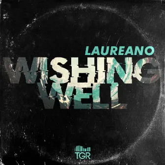 Wishing Well by Laureano