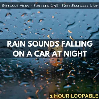 Rain Sounds Falling on a Car at Night: One Hour (Loopable) by Rain Soundzzz Club